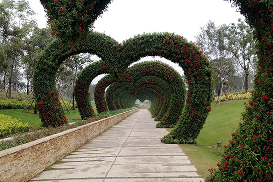 1528882284520384.jpg 11.jpg